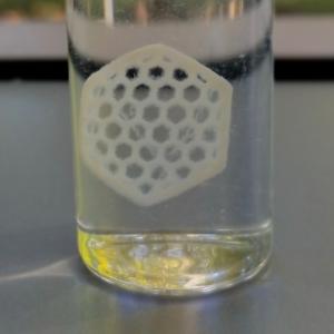 3D Bioprinting